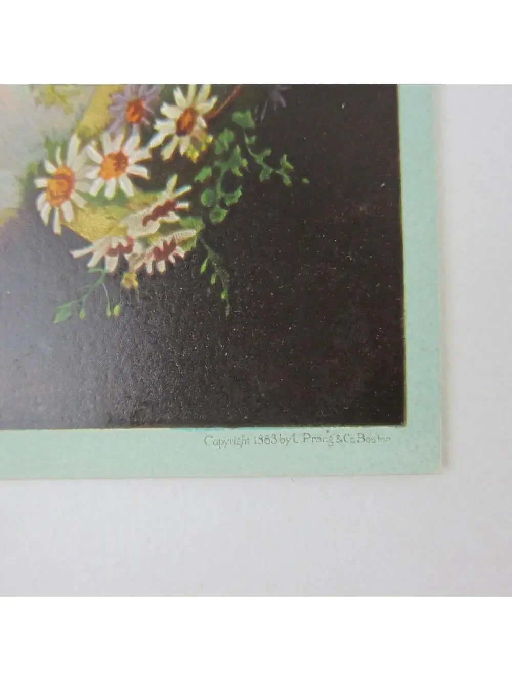Victorian Greeting Card Purple White Daisy Flowers Butterfly Birds Antique 1883